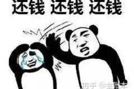 阜南贷款清欠服务