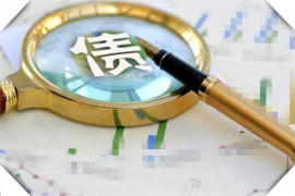 阜南贷款清欠服务